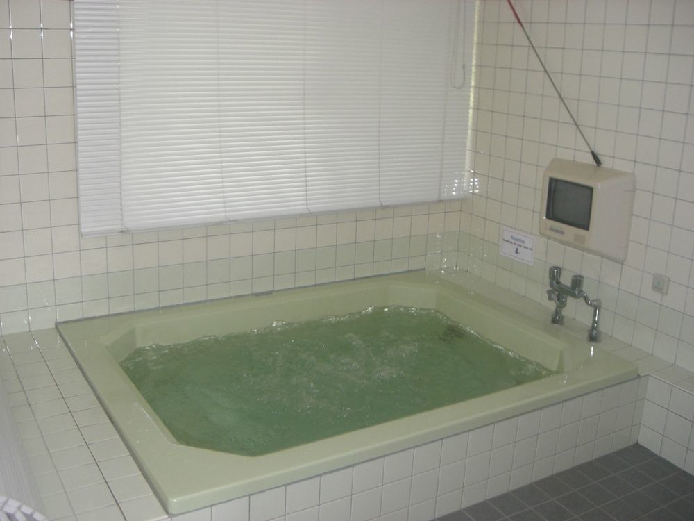 Nagomi-Tei Hotel Hakuba Ngoại thất bức ảnh